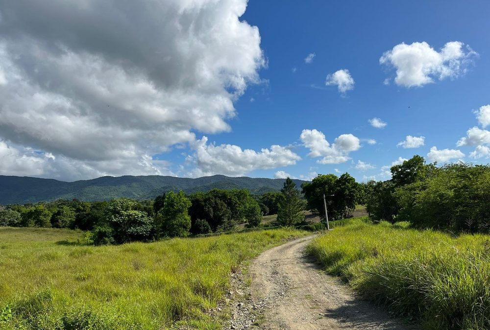 Terreno Km32, Autopista Duarte