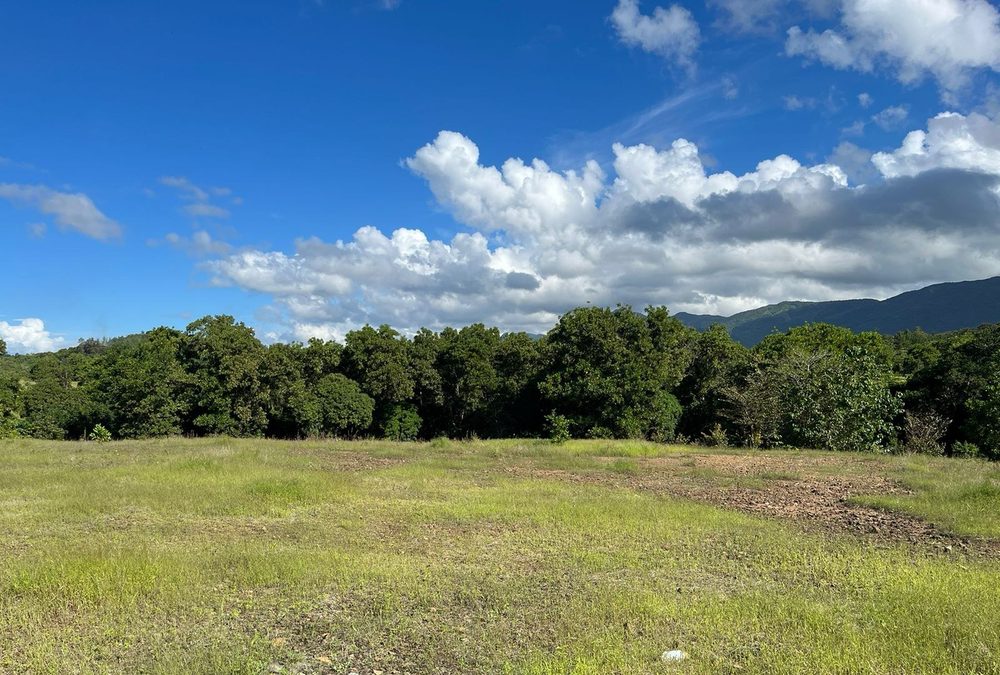 Terreno Km32, Autopista Duarte