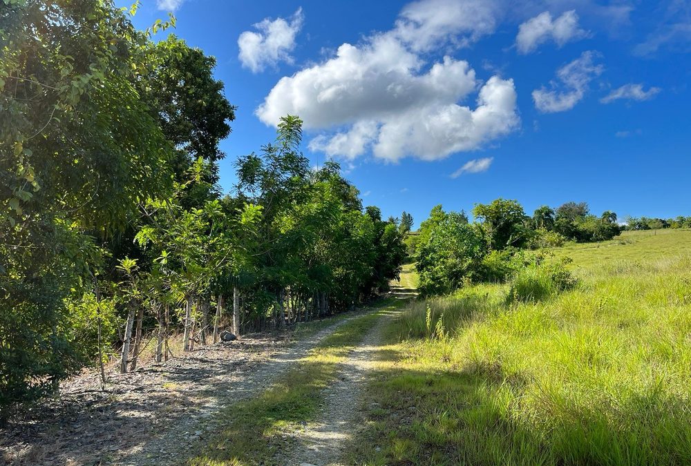 Terreno Km32, Autopista Duarte